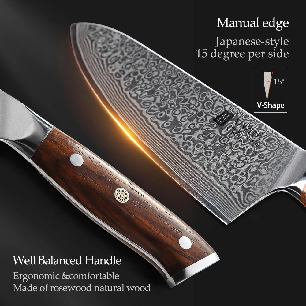 XINZUO Japanese Damascus 67 Layer Gyuto Chef Knife with Rosewood Handle for Everyday Cooking