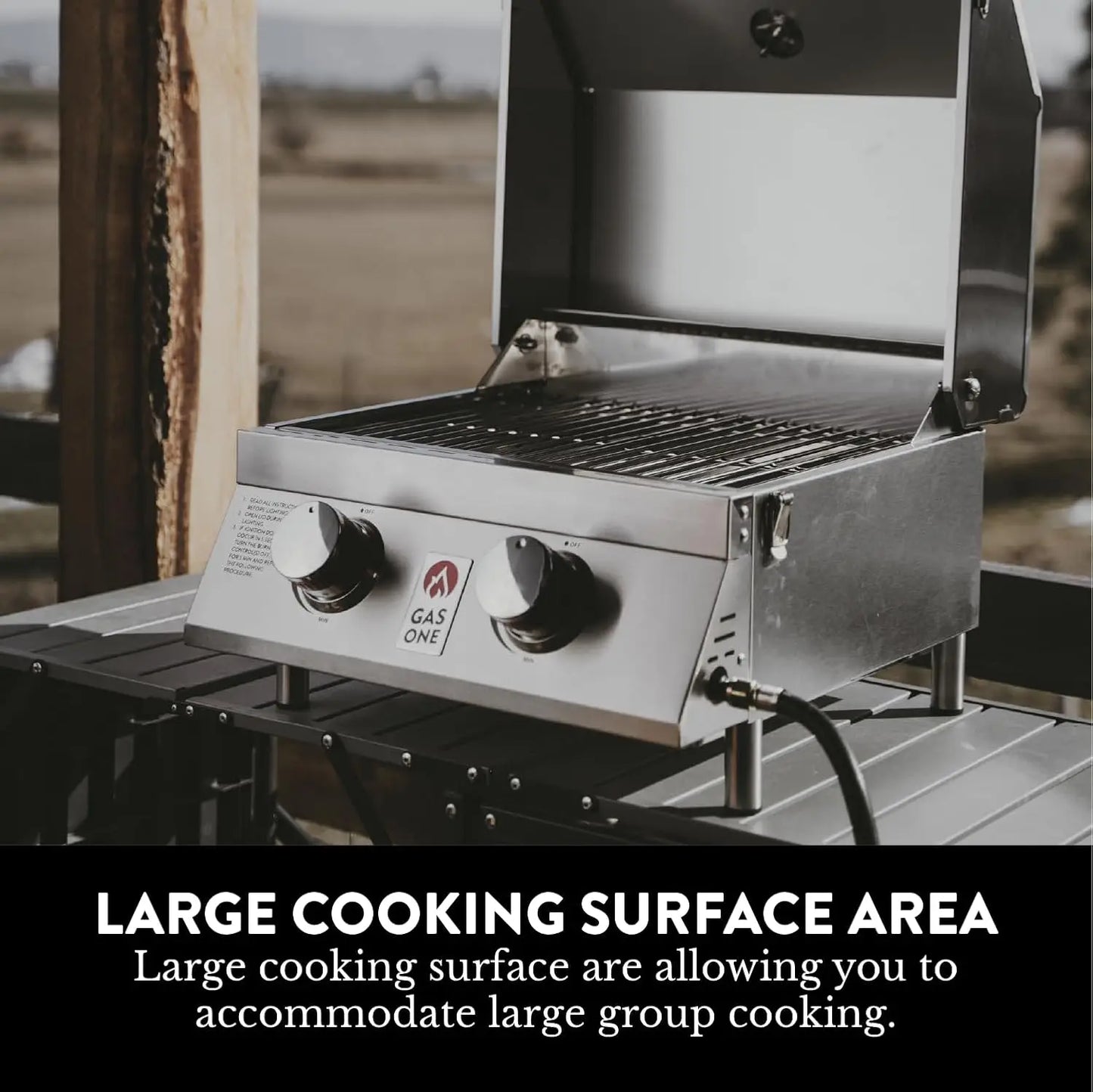 Portable Propane Tabletop Grill with Heat Control and Thermometer