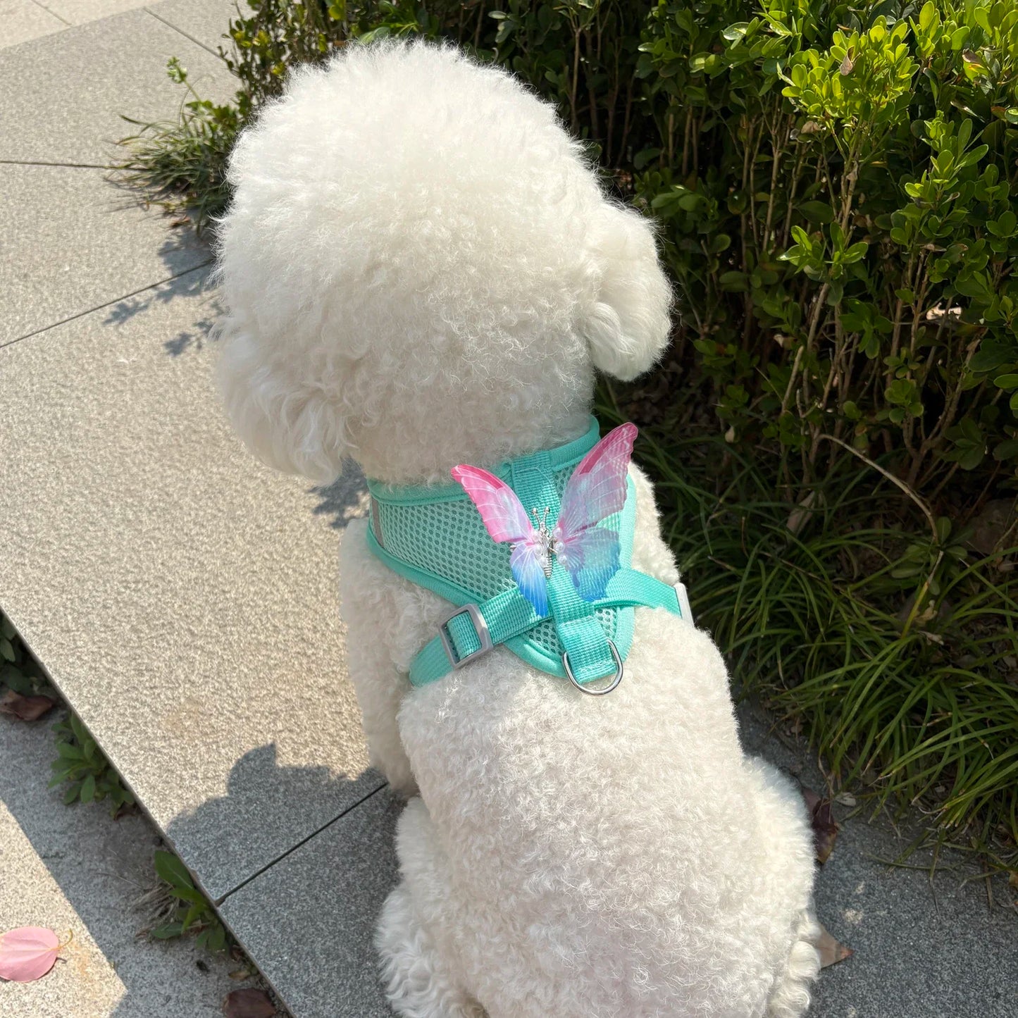 Butterfly UltraBreathable SuperExtraLightweight Mesh Dog Harness For Small Dogs Leash
