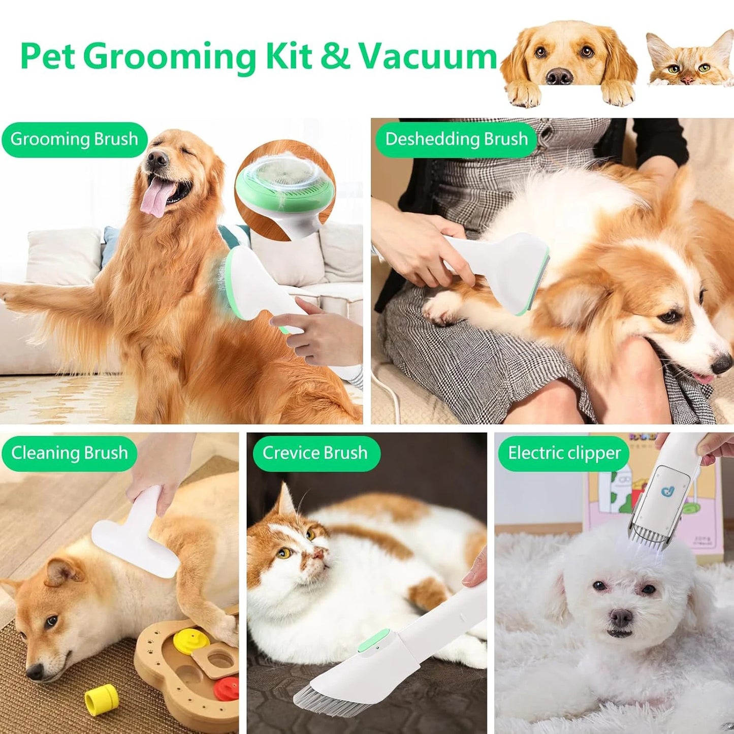 DishyKooker PetGrooming VacuumKitWith2LSuction FiveTools Silent Efficient Design ForPets HomeCare ProGrade