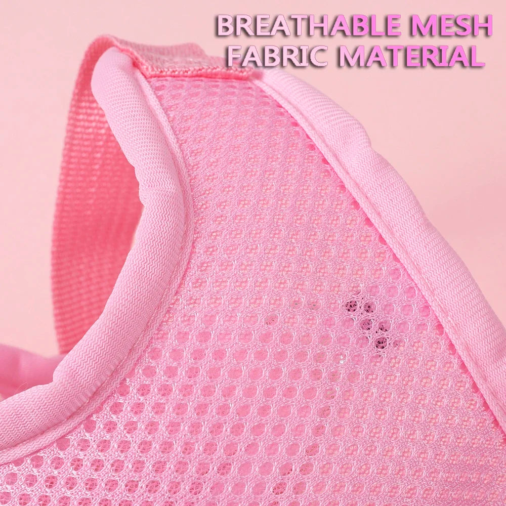 Butterfly Breathable Dog Harness Set For Small Dogs Cats Puppy Chest Vest With Leash