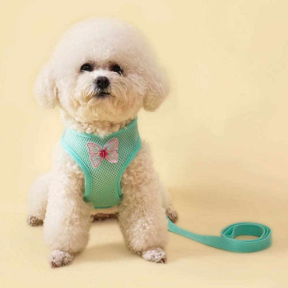 Butterfly UltraBreathable SuperExtraLightweight Mesh Dog Harness For Small Dogs Leash