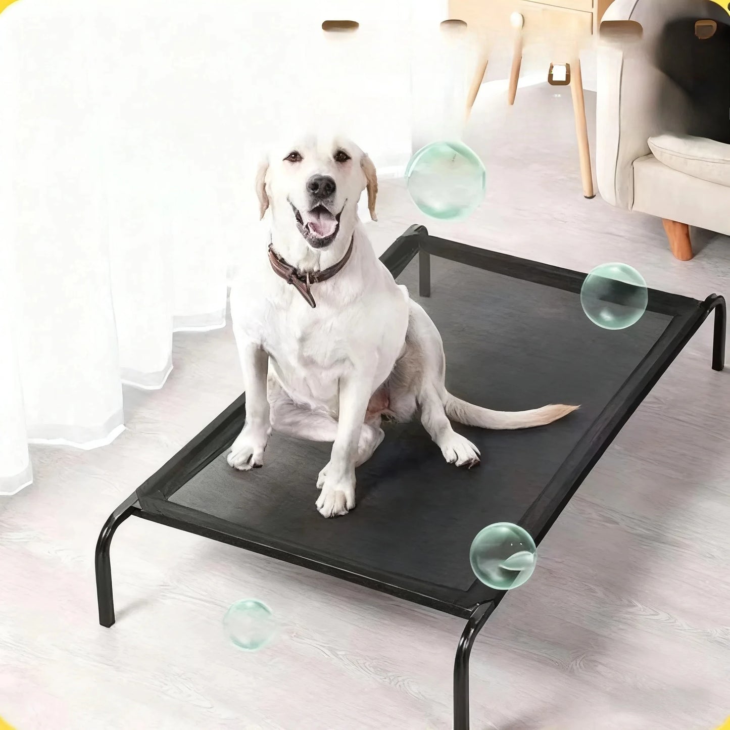 Guangdong CN Foldable Pet Bed For Dogs And Cats Portable Washable Kennel For Travel