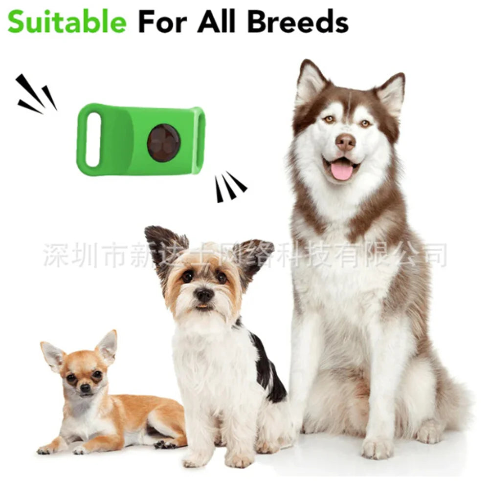 Guangdong Comprehensive Natural Antiflea And Tick Pendant Collar For ModernCompanionPets